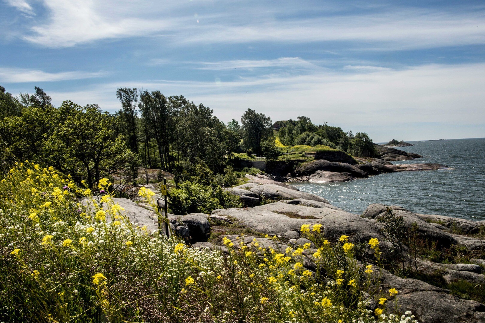 Kallioinen ranta ja keltaisia kukkia.