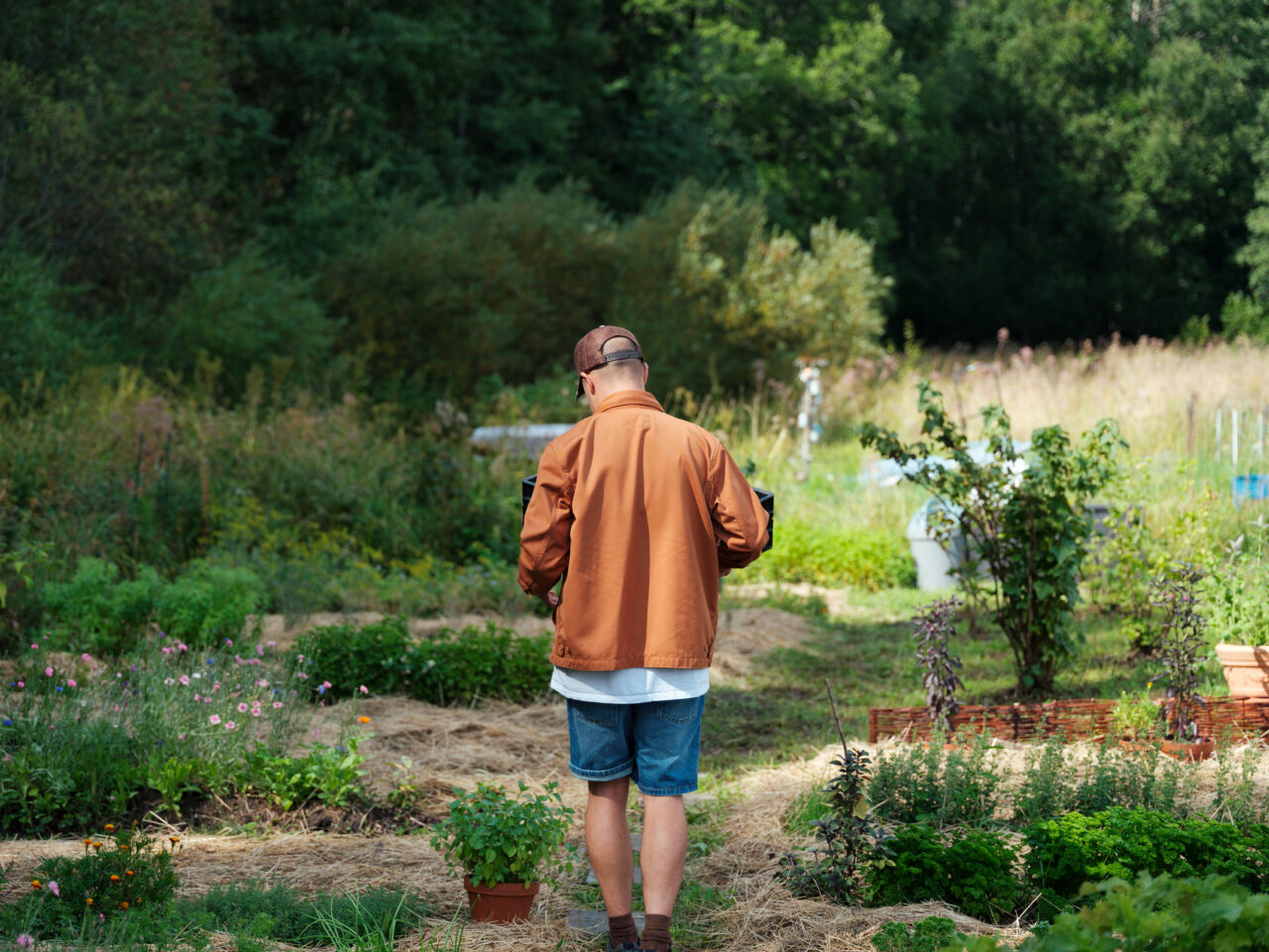 Grön's head chef Toni Kostian walking through the restaurant kitchen garden