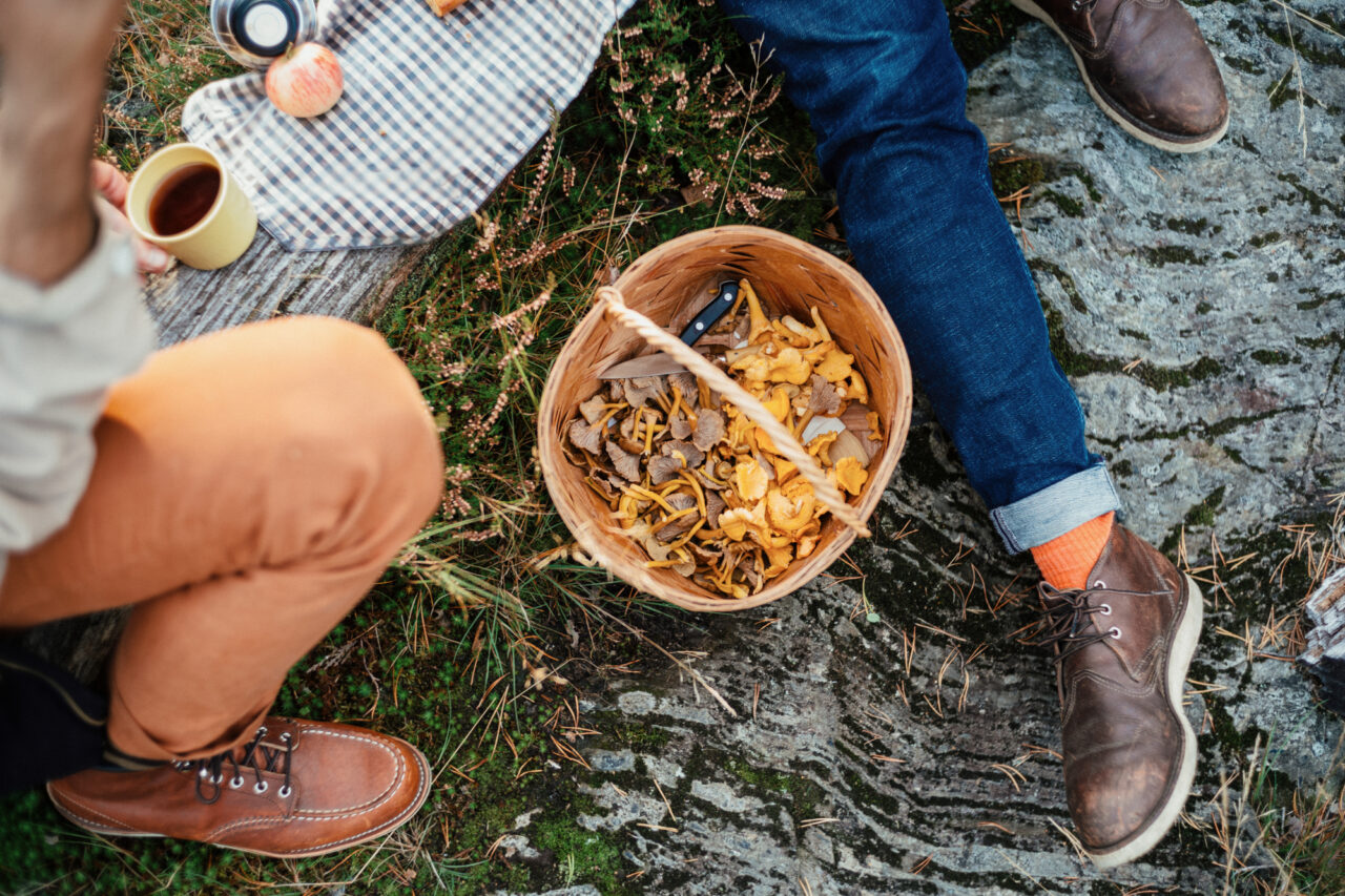 Mushroom Basket