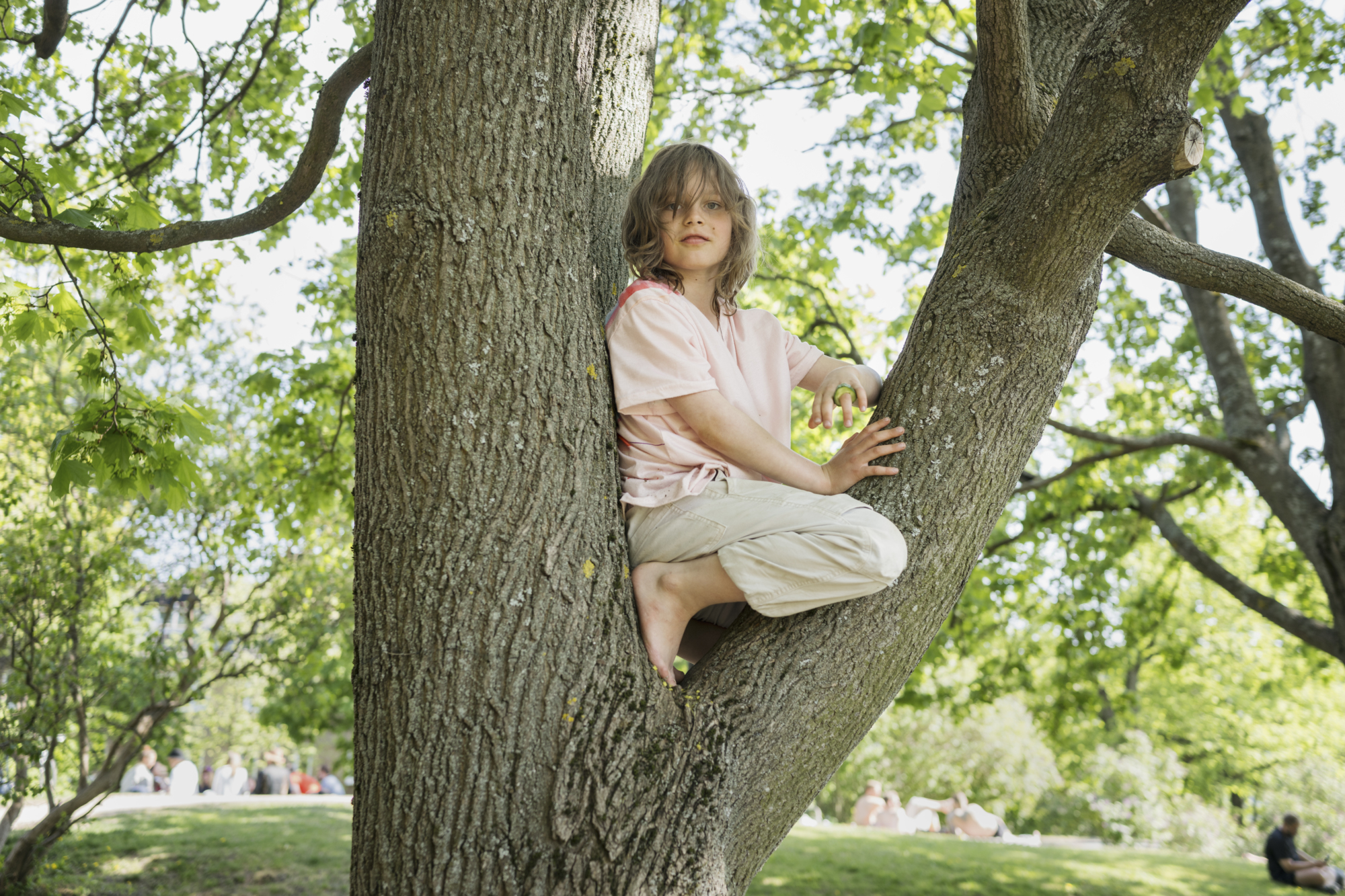 Tree climbing in Helsinki