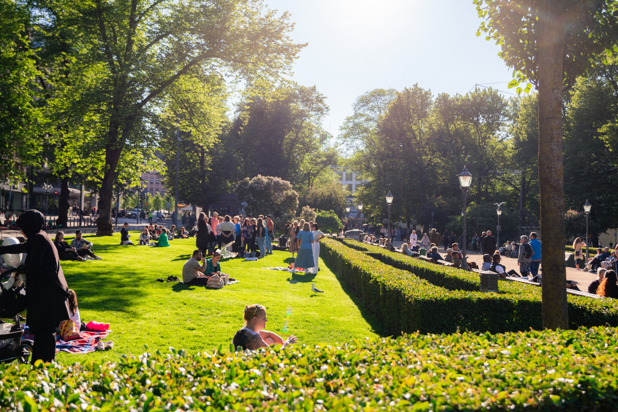 a group of people sitting on grass in a park