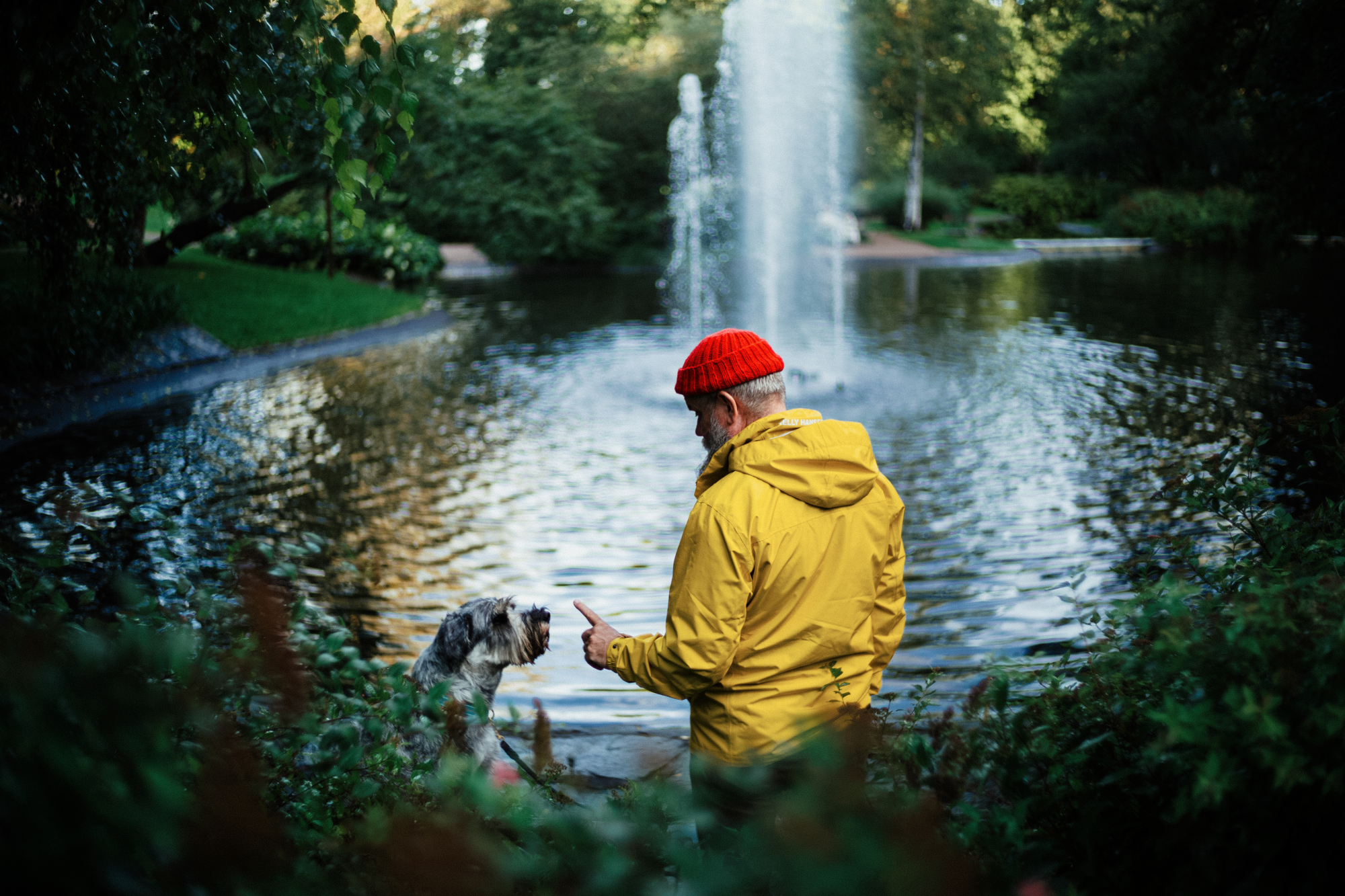 Walking the Dog in Alppipuisto Park