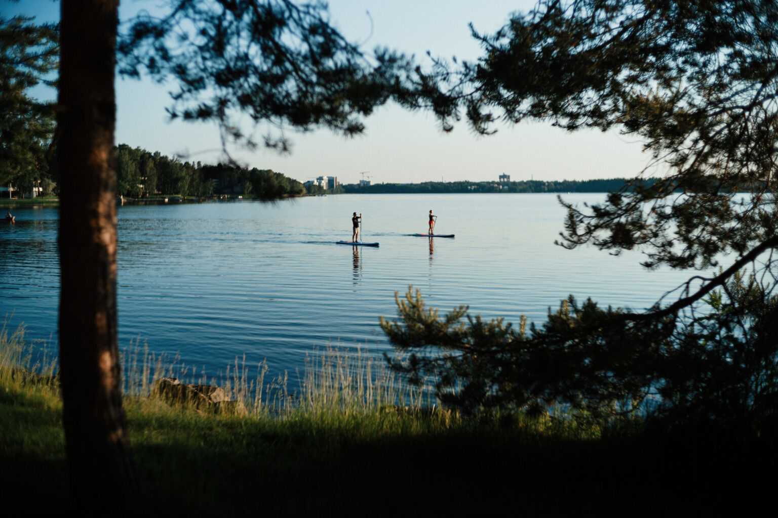 people on paddle boards on a lake