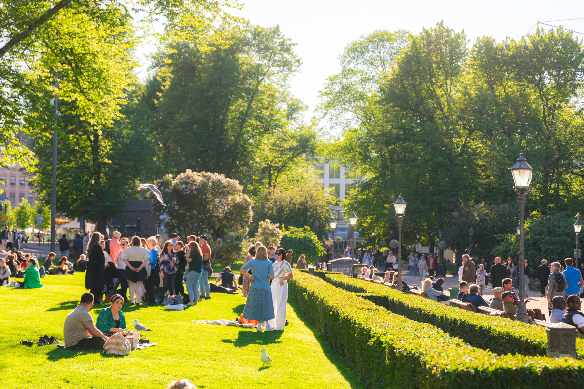 52 weeks in HEL // Week 24: Helsinki Day celebrants in Esplanade Park