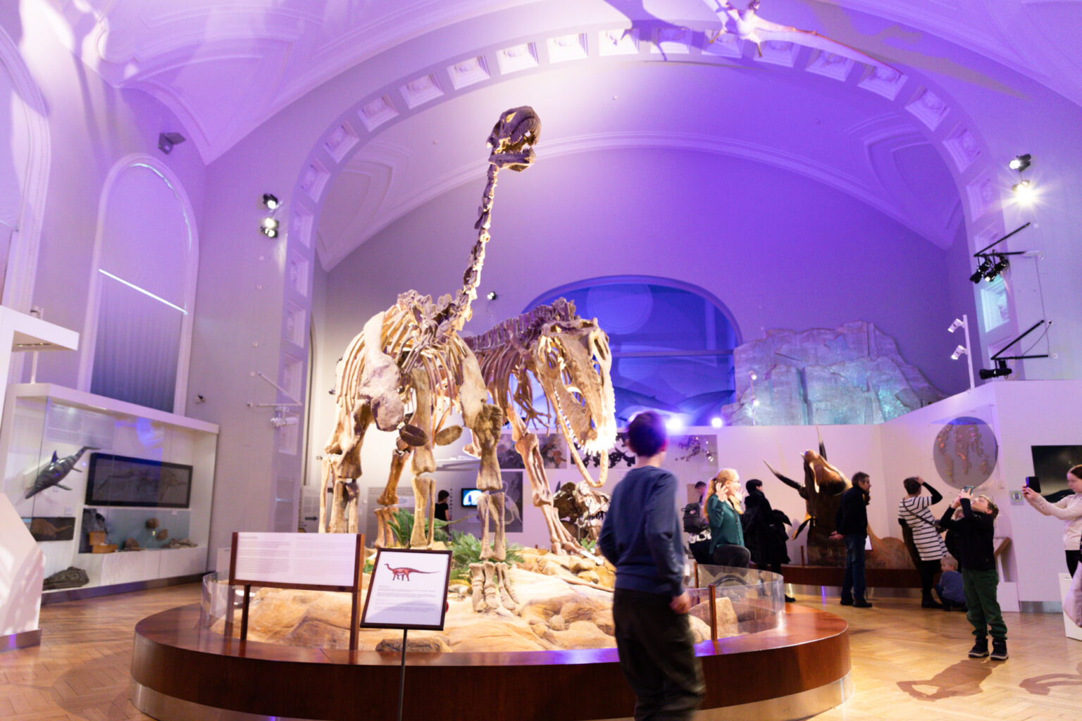 52 weeks in HEL // Week 9 - Natural History Museum (4)