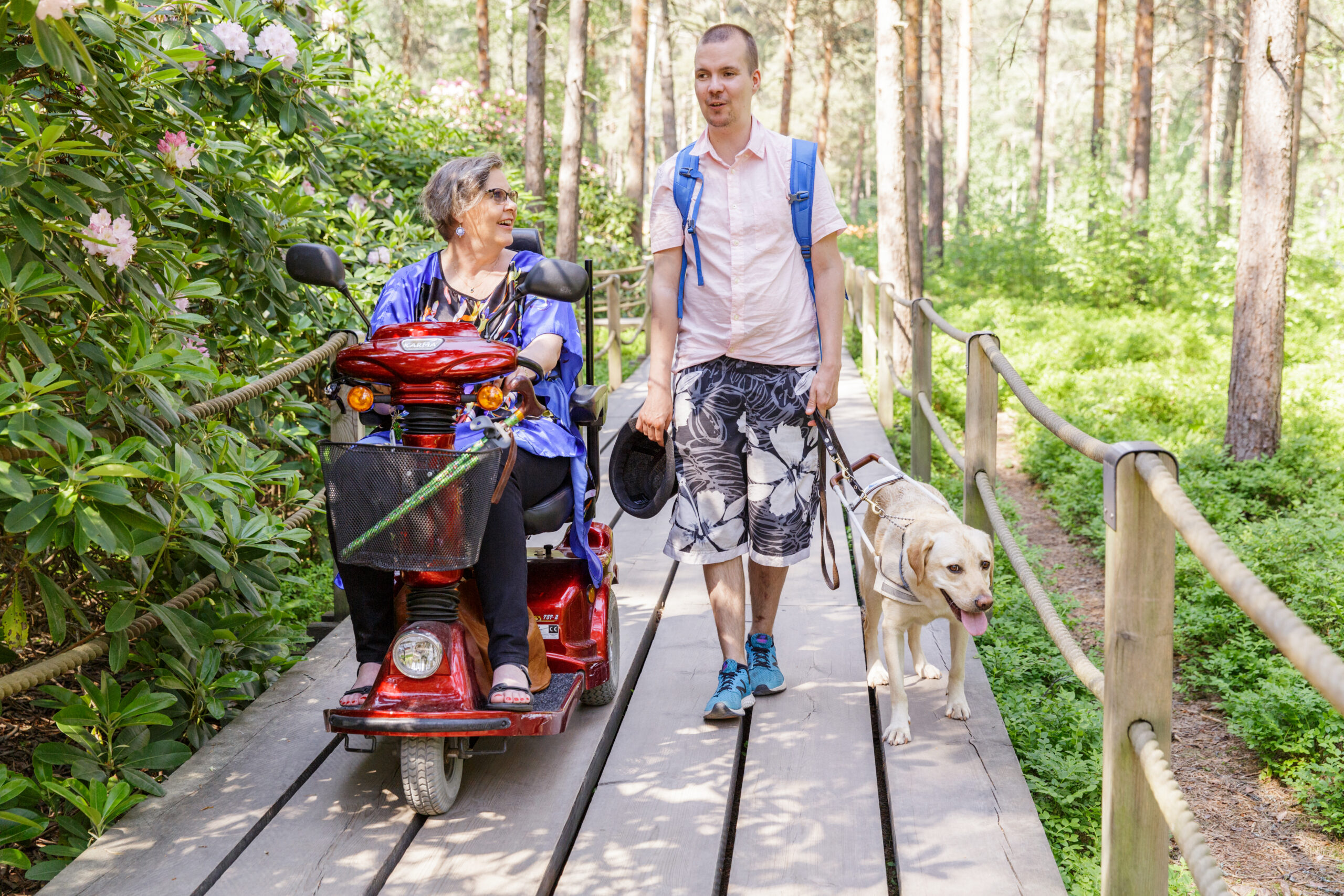 Accessible nature trails in Helsinki: Rhododendron Park